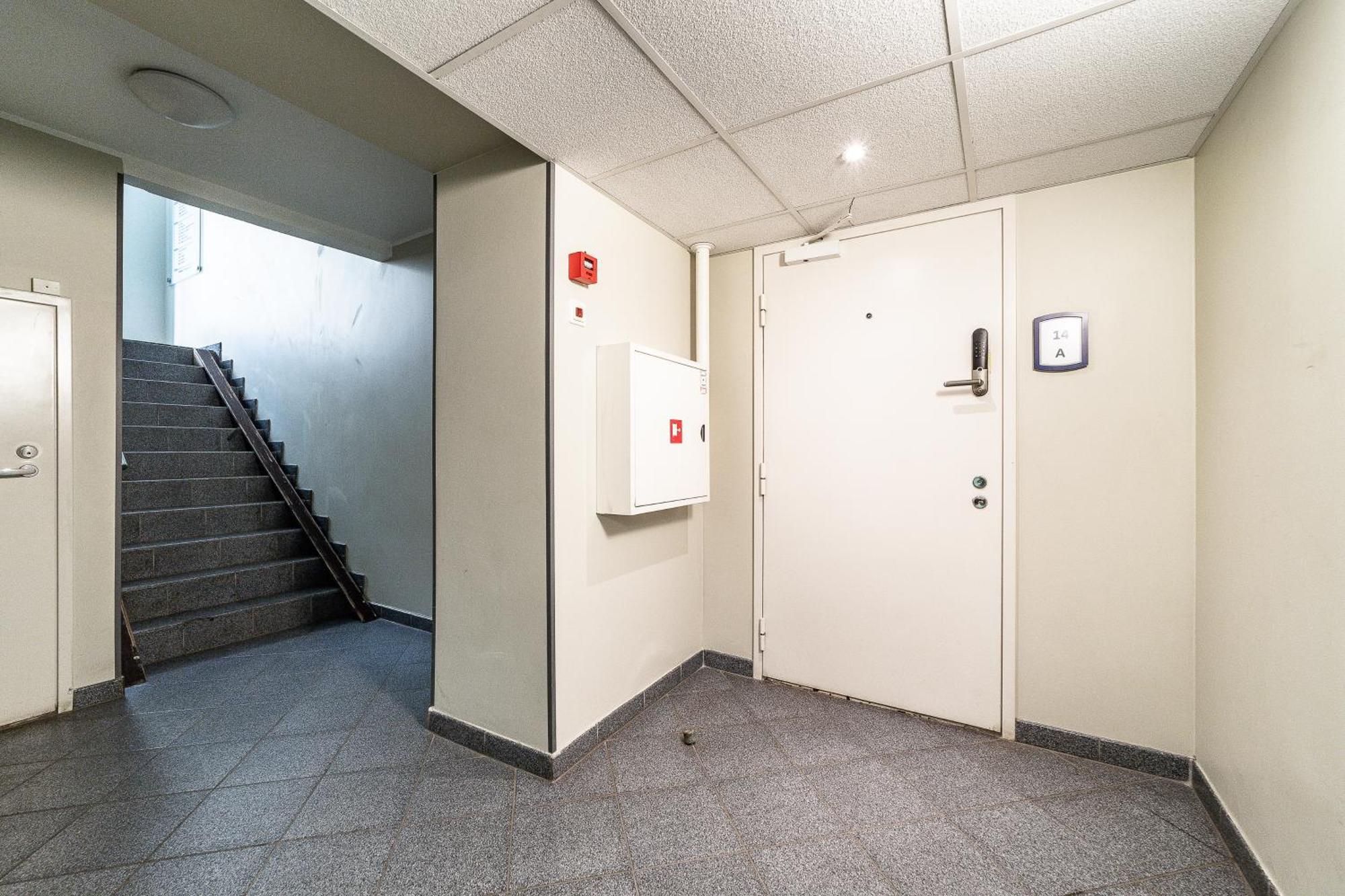 Dana-Entire Apartment Very Quiet And Central 2 塔林 外观 照片